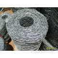 filo spinato galvanizzato